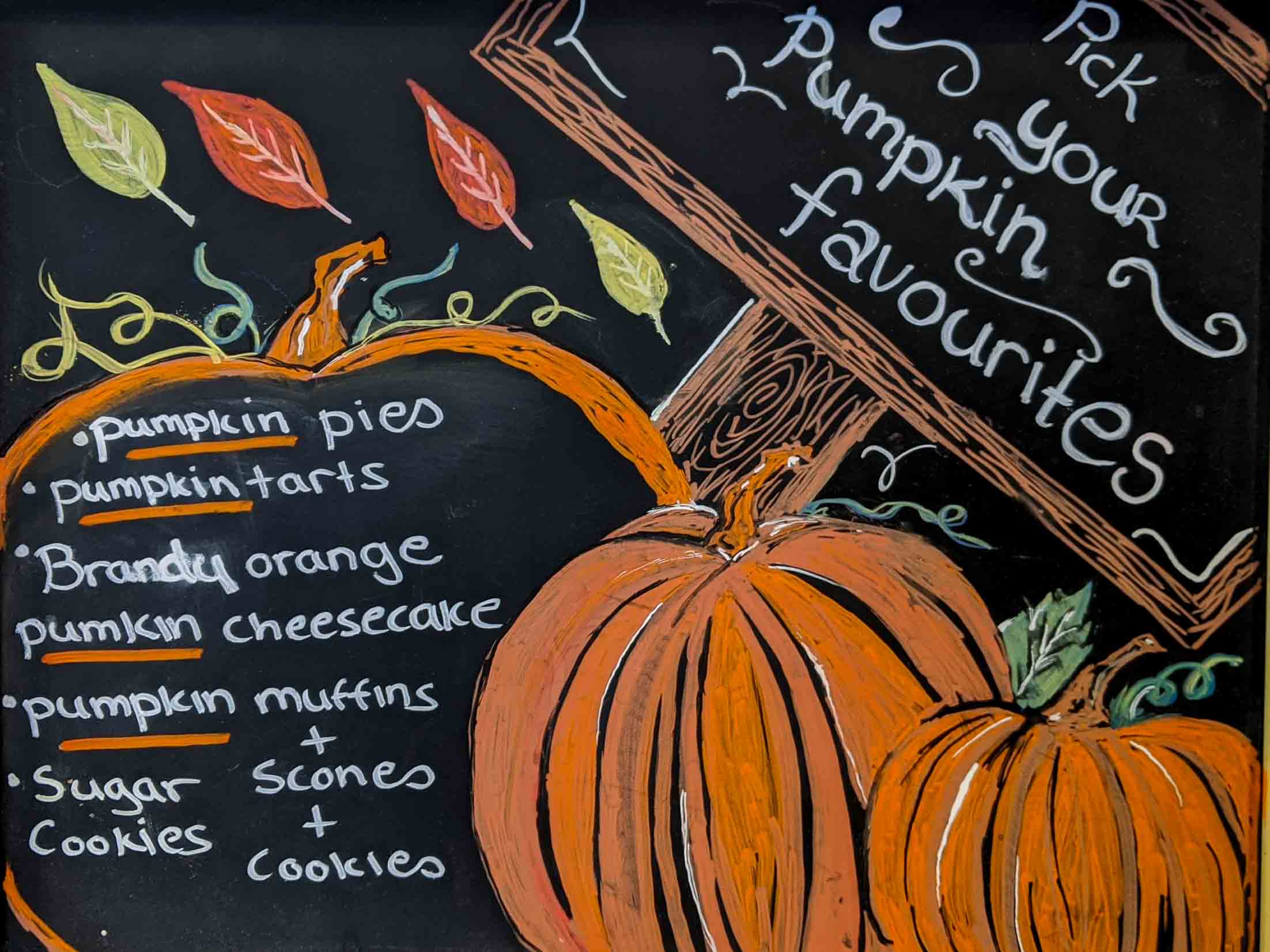 Pumpkin for Thanksgiving